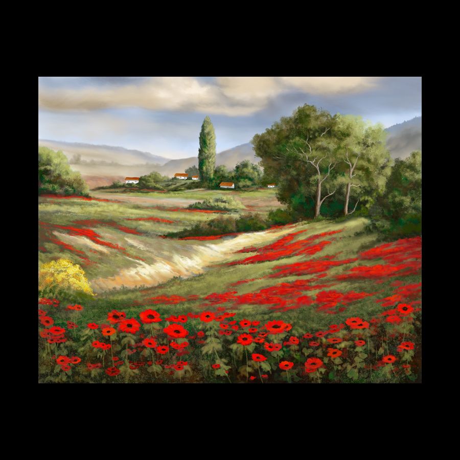 Tuscan Poppies